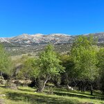 Photo taken by Joey R