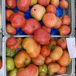 Photo taken by Stella S