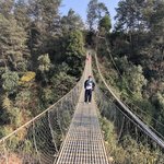 Photo taken by Terje R