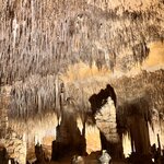 Photo taken by Suzanne C