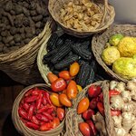 Photo taken by Erica A