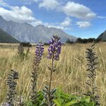 Photo taken by Lisa S