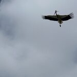 Photo taken by Stanley C