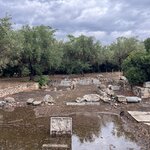 Photo taken by Martha L