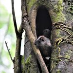 Cantanista | Photo taken by Robert T