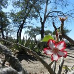 Photo taken by Linette B