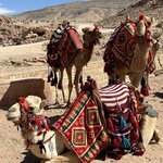 Photo taken by Andrew A