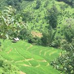 Stunning views from hills above  | Photo taken by Rachael W