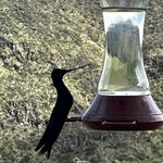 Photo taken by Vicki Lynn M