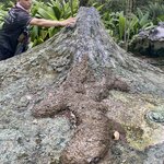 Our guide using a model of the volcano to explain its eruptions and the changes they have made in the surrounding environment | Photo taken by Anita L
