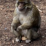 Photo taken by Diana G