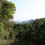 Photo taken by Gill P