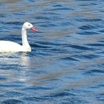 Photo taken by Bao T