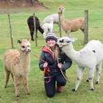 Nevalee Alpacas  | Photo taken by JESSICA T