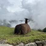 Photo taken by Lori S