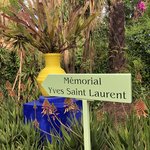 Majorelle garden  | Photo taken by Filipinas C