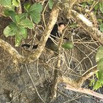 Photo taken by Chris G