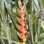 Photo taken by Cindy R