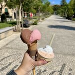 Photo taken by Bailey R