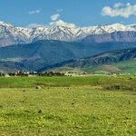 Photo taken by Bess K