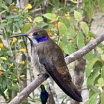 Photo taken by Todd M