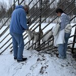 Photo taken by Beth M