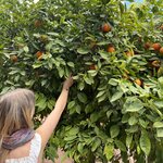 Photo taken by Christine S