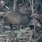 Photo taken by Morton A