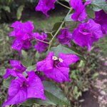 Photo taken by Trish G