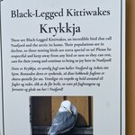 Photo taken by Kim M