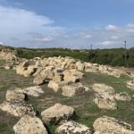 Photo taken by Judi W