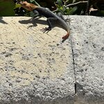 Photo taken by Solomon F