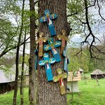 Photo taken by Tom E