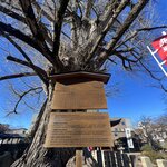 Photo taken by Kirti P