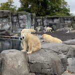 Photo taken by Anjana A