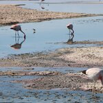 Photo taken by Jananee J