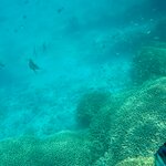 Photo taken by Dixie W