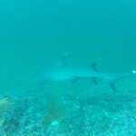 Photo taken by Sara W