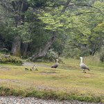 Photo taken by Rob G