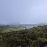 Photo taken by Tamara N