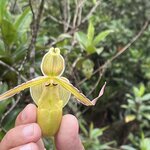 Photo taken by Samantha S