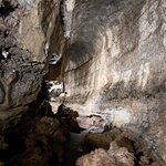 Photo taken by Jayme B