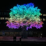 Photo taken by Tracy K