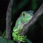 Photo taken by Graeme W