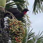 Photo taken by Joy E