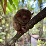 Photo taken by Edit M