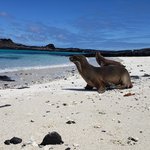 We met some Sea Lion friends. | Photo taken by Peter S