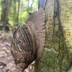 Photo taken by Jessica S