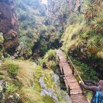 Trust your guide | Photo taken by Matt M