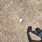 Photo taken by SHOSHANA S